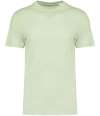 NS300 Unisex T shirt Celadon Green colour image